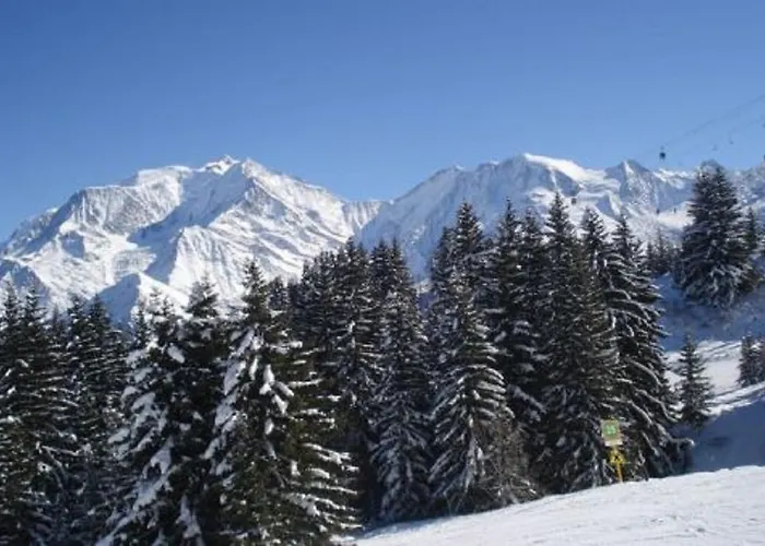 Le Petit Paddock شاليه *